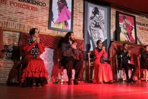 Spectacle et dîner flamenco à Madrid