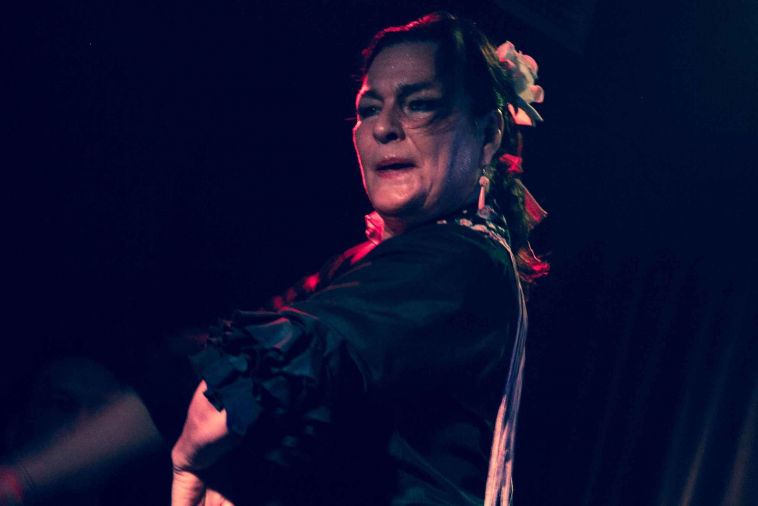 Madrid: Flamenco Show in Café Ziryab