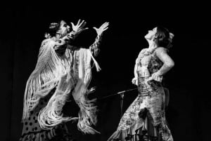 Madrid: Flamenco Show at Café Ziryab