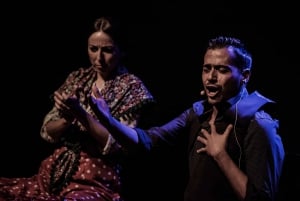 Madri: Show de flamenco no Tablao 'Las Tablas' com bebida