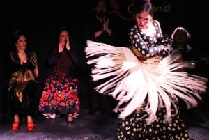 Madrid: Flamenco Show with Tapas and Wine Tour