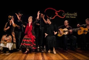 Madrid: Flamenco Show with Tapas and Wine Tour