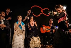 Madrid: Flamenco Show with Tapas and Wine Tour