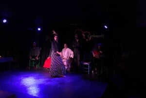 Madrid: Flamenco Show with Tapas and Wine Tour