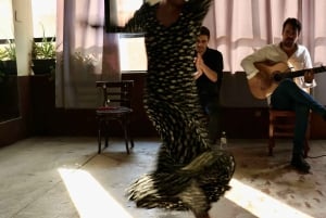 Flamenco in Madrid: Art & Passion in an Intimate Performance