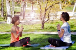 Em Madrid: Aula de Yoga Flow no Parque do Retiro