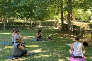 Em Madrid: Aula de Yoga Flow no Parque do Retiro