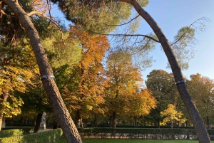 Em Madrid: Aula de Yoga Flow no Parque do Retiro