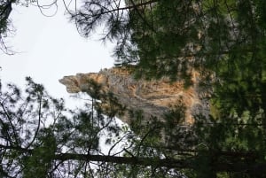 Madrid: Guided climbing in the central area