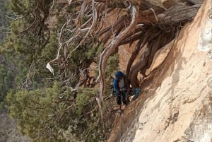 Madrid: Guided climbing in the central area