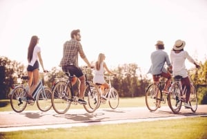 Madrid: Guided Electric Bike Tour. City center & Retiro Park