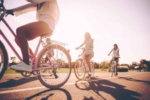 Madrid: Guided Electric Bike Tour. City center & Retiro Park