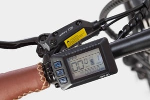 Madrid: Guided Electric Bike Tour. City center & Retiro Park