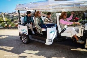 Madrid: tour guidato in tuk tuk elettrico