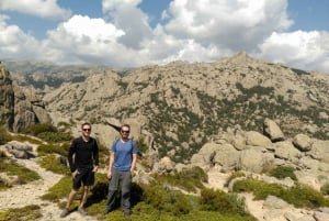 Madrid: Tour guiado de senderismo en el Parque Nacional de Guadarrama