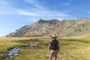 Madrid: Guidet vandretur i Guadarrama National Park