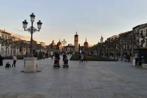 Madrid: Halve dag tour door Alcalá de Henares