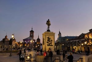 Madrid: Half-Day Alcalá de Henares Tour