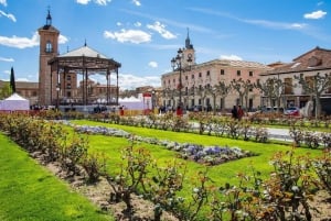 Half-Day Trip from Alcalá de Henares & Winery Visit