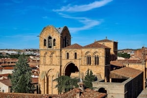 Madrid: Half-Day Trip to Avila with a Local