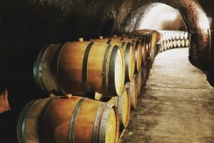 Madryt: półdniowa wycieczka po regionie winiarskim