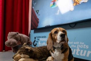 Madrid: Happiness Museum Interactive Experience Ticket