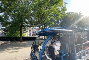 Madrids höjdpunkter: Tuk-Tuk-tur med hämtning (2 timmar)