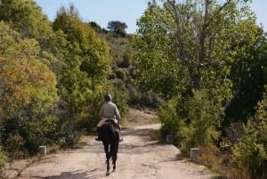 Madrid: Horse Riding in Sierra del Guadarrama National Park
