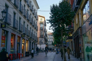 Madrid: La Latina-wandeltour met tapas en drankje