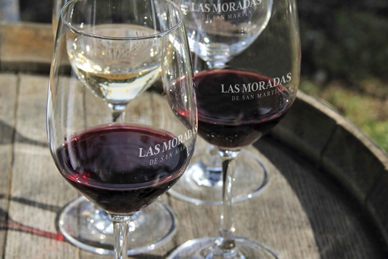 Madrid: Las Moradas de San Martín Winery Tour and Tasting