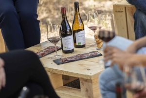 Madrid: Las Moradas de San Martín Winery Tour and Tasting