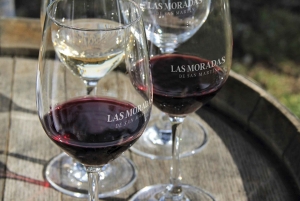 Madrid: Las Moradas de San Martín Winery Tour and Tasting