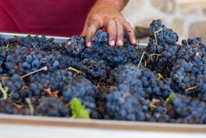 Madrid: Las Moradas de San Martín Winery Tour and Tasting