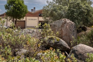 Madrid: Las Moradas de San Martín Winery Tour and Tasting