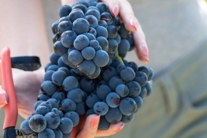 Madrid: Las Moradas de San Martín Winery Tour and Tasting