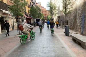 Madrid: Literary Quarter & Retiro Park Electric Bike Tour