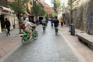 tour in bici elettrica del quartiere letterario e del Parco del Retiro