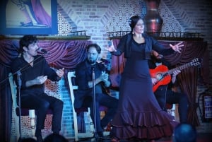 Madrid: Los Porches Flamenco Show with Tapas and Wine Ticket