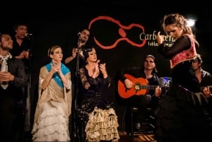 Madrid: Flamenco Show with Tapas and Wine Tour