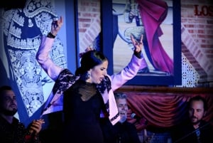 Madrid: Los Porches Flamenco Show with Tapas and Wine Ticket