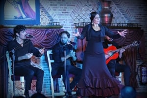 Madrid: Los Porches Flamenco Show with Tapas and Wine Ticket