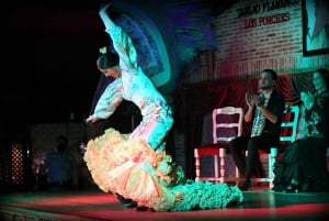 Madrid: Los Porches Flamenco Show with Tapas and Wine Ticket