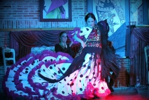Madrid: Los Porches Flamenco Show with Tapas and Wine Ticket