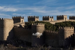 Madrid: Luxury Tour Avila & Segovia