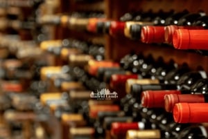 Madrid: Luxury Winery Emilio Moro Tour