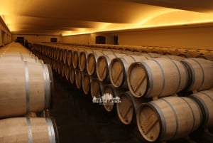 Madrid: Luxury Winery Emilio Moro Tour