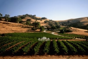 Madrid: Luxury Winery Emilio Moro Tour