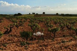 Madrid: Luxury Winery Emilio Moro Tour