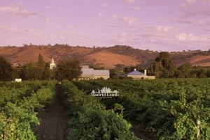 Madryt: Wycieczka do luksusowej winiarni Emilio Moro