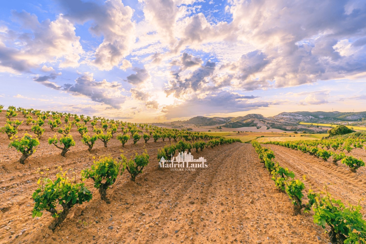 Madrid: Luksusvinder og Ribera del Duero-tur